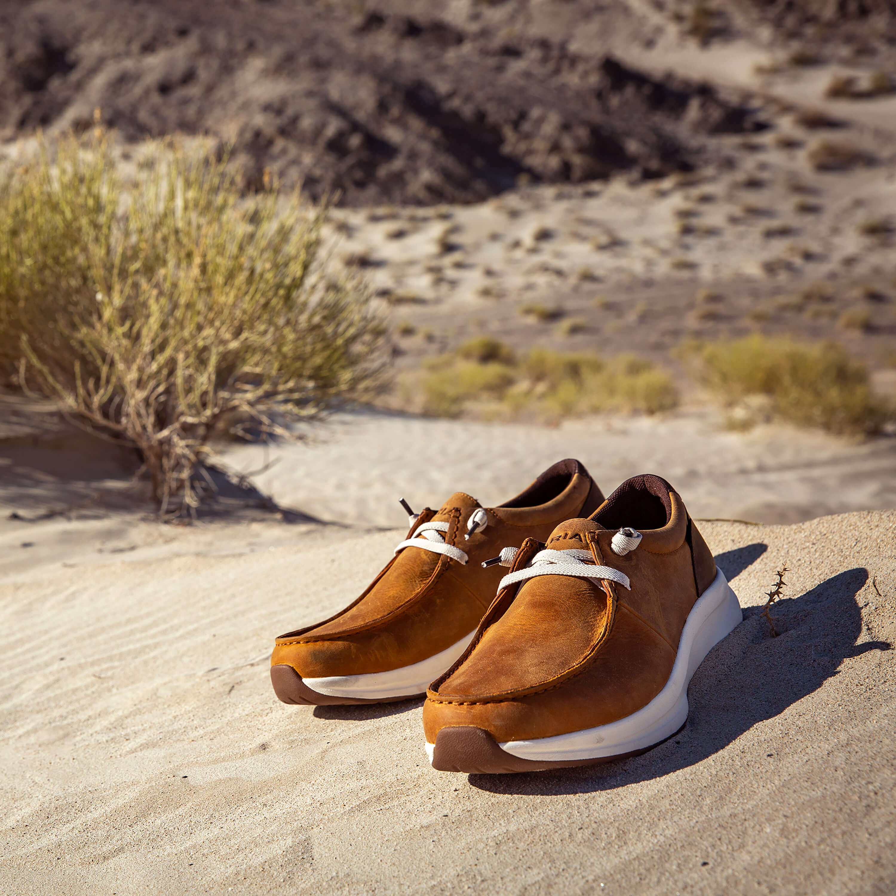 Ariat Buckeye Waterproof Shoe