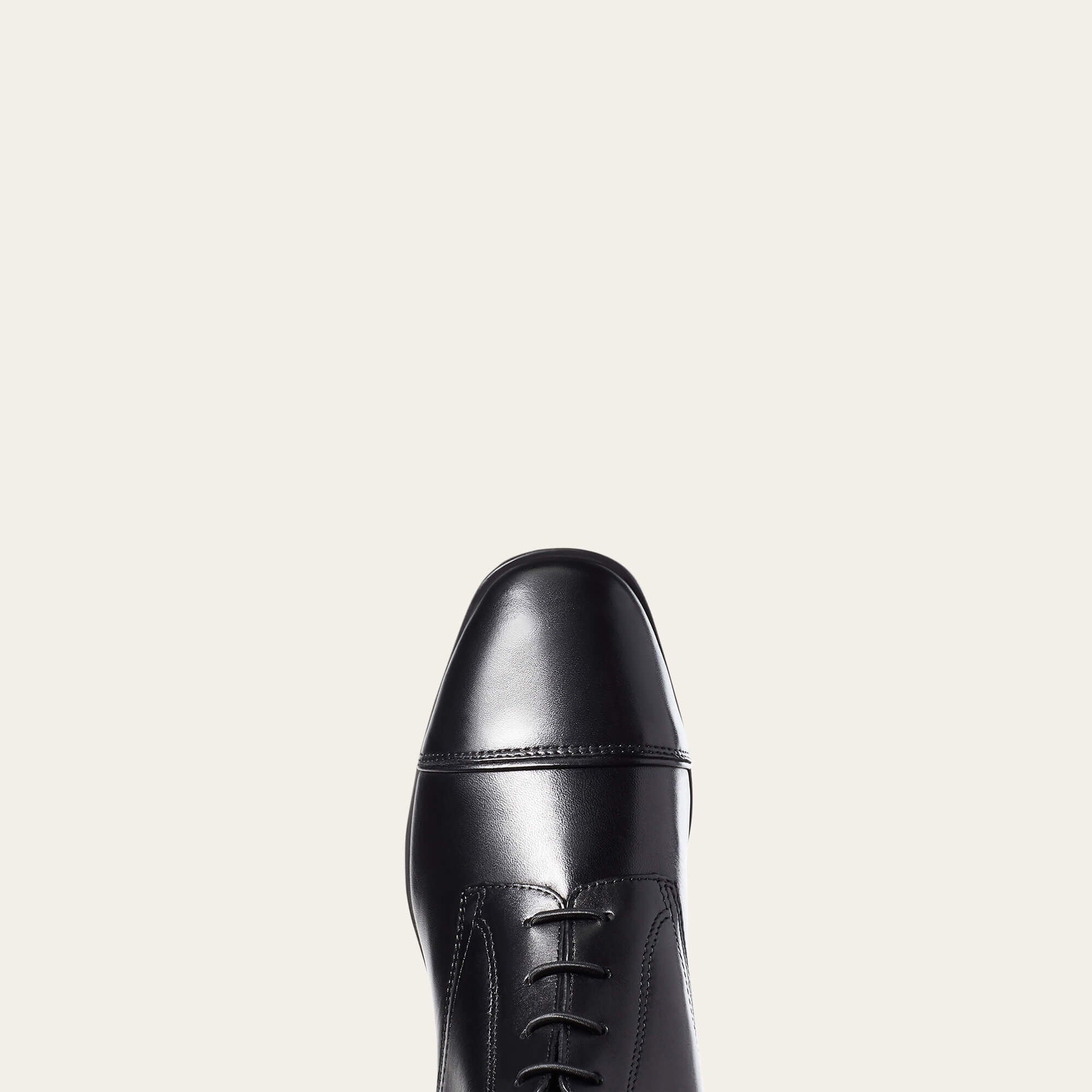 Ariat Palisade Tall Riding Boot